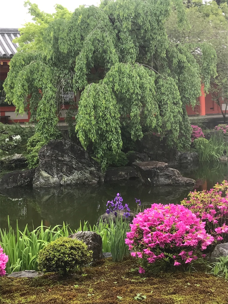 f:id:EF_510_514:20220528035845j:image f:id:EF_510_514:20220528035845j:image