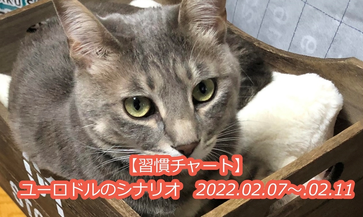f:id:EICHI-FX:20220207121523j:plain