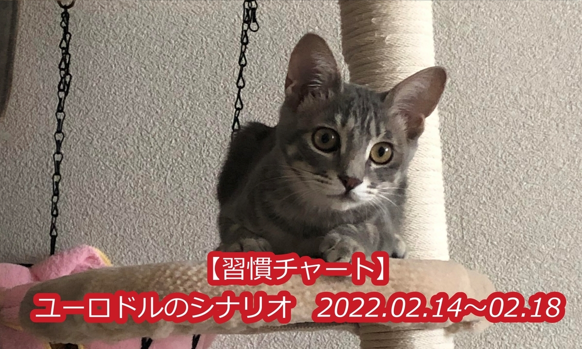 f:id:EICHI-FX:20220214001419j:plain
