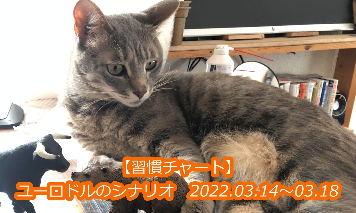 f:id:EICHI-FX:20220314104447j:plain