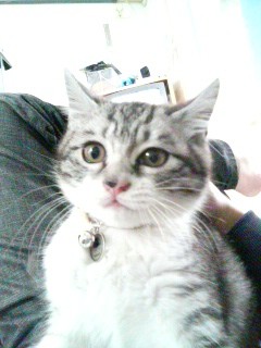 f:id:EIKU:20070403092814j:image
