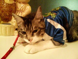 f:id:EIKU:20071219191201j:image