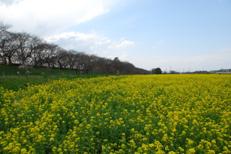 f:id:EIKU:20090327142950j:image