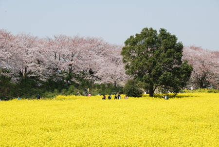 f:id:EIKU:20090406112448j:image