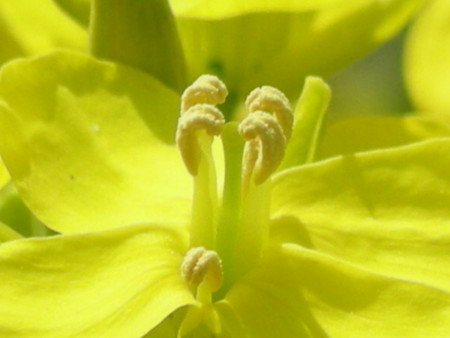 f:id:EIKU:20090406115222j:image