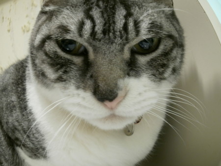 f:id:EIKU:20110426000641j:image