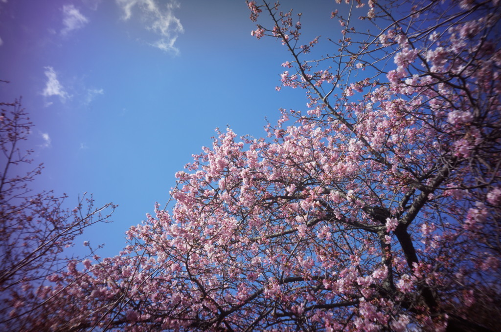 f:id:EIKU:20180223143043j:plain