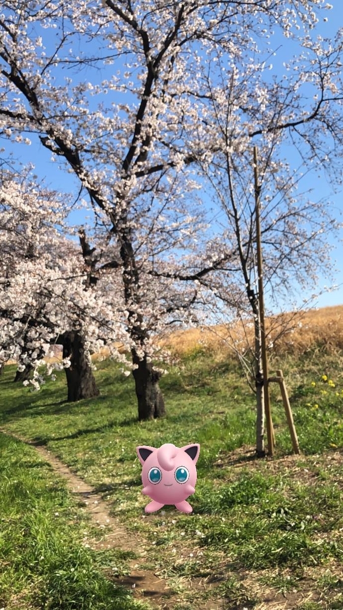 f:id:EIKU:20190416214327j:plain f:id:EIKU:20190416214327j:plain