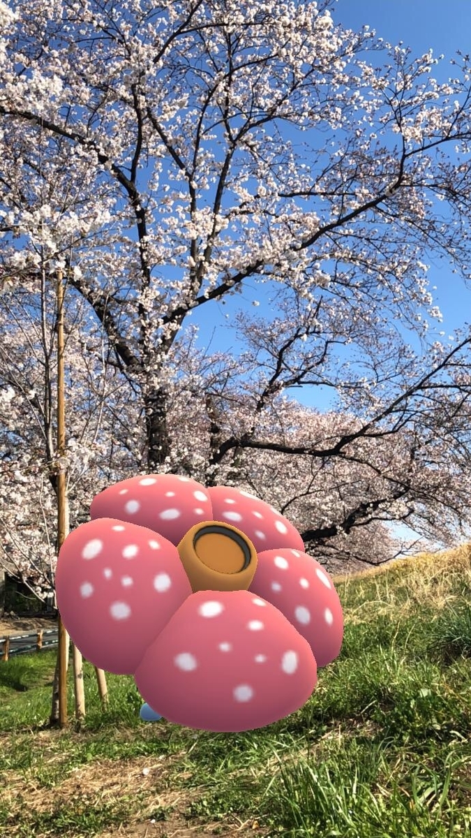 f:id:EIKU:20190416214341j:plain f:id:EIKU:20190416214341j:plain