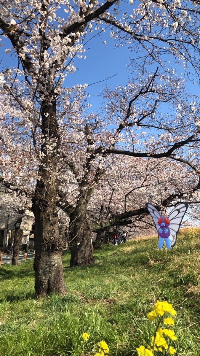 f:id:EIKU:20190416214355j:plain f:id:EIKU:20190416214355j:plain