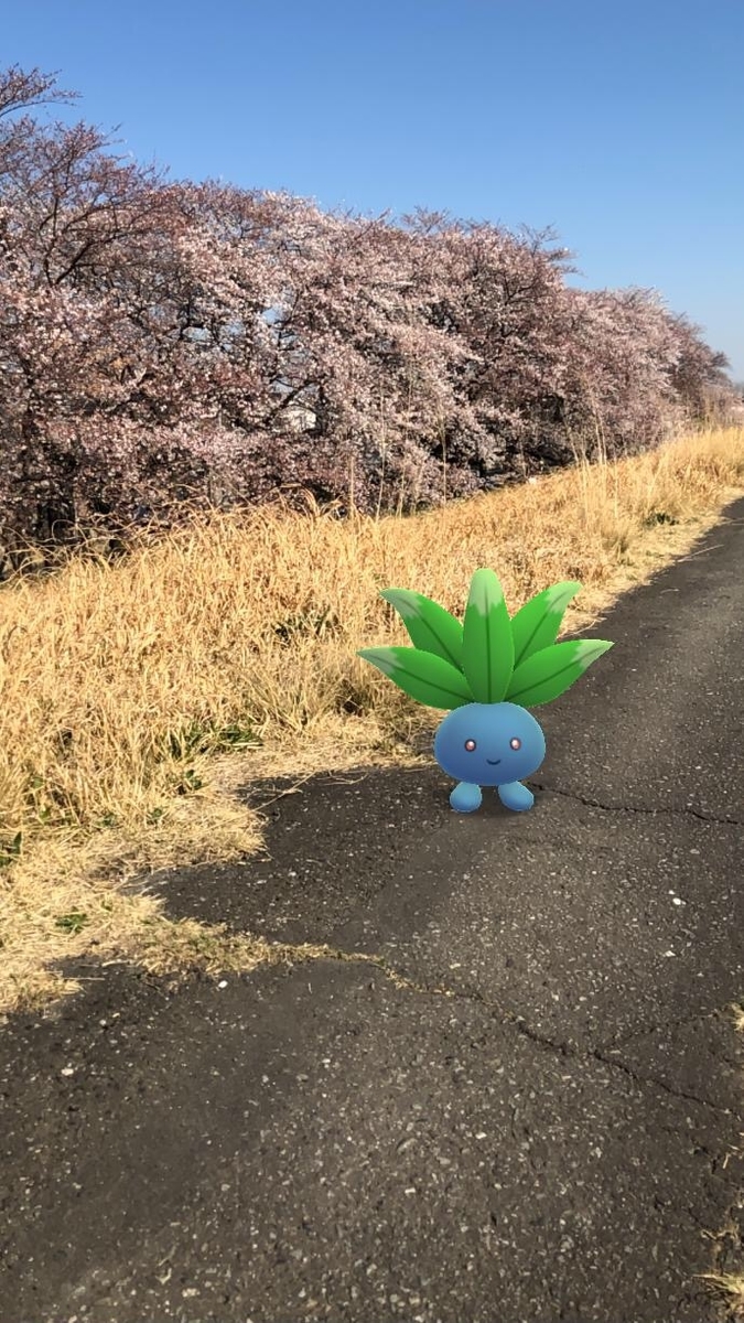 f:id:EIKU:20190416214446j:plain f:id:EIKU:20190416214446j:plain