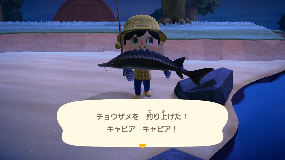 f:id:EIKU:20200321201441j:plain f:id:EIKU:20200321201441j:plain