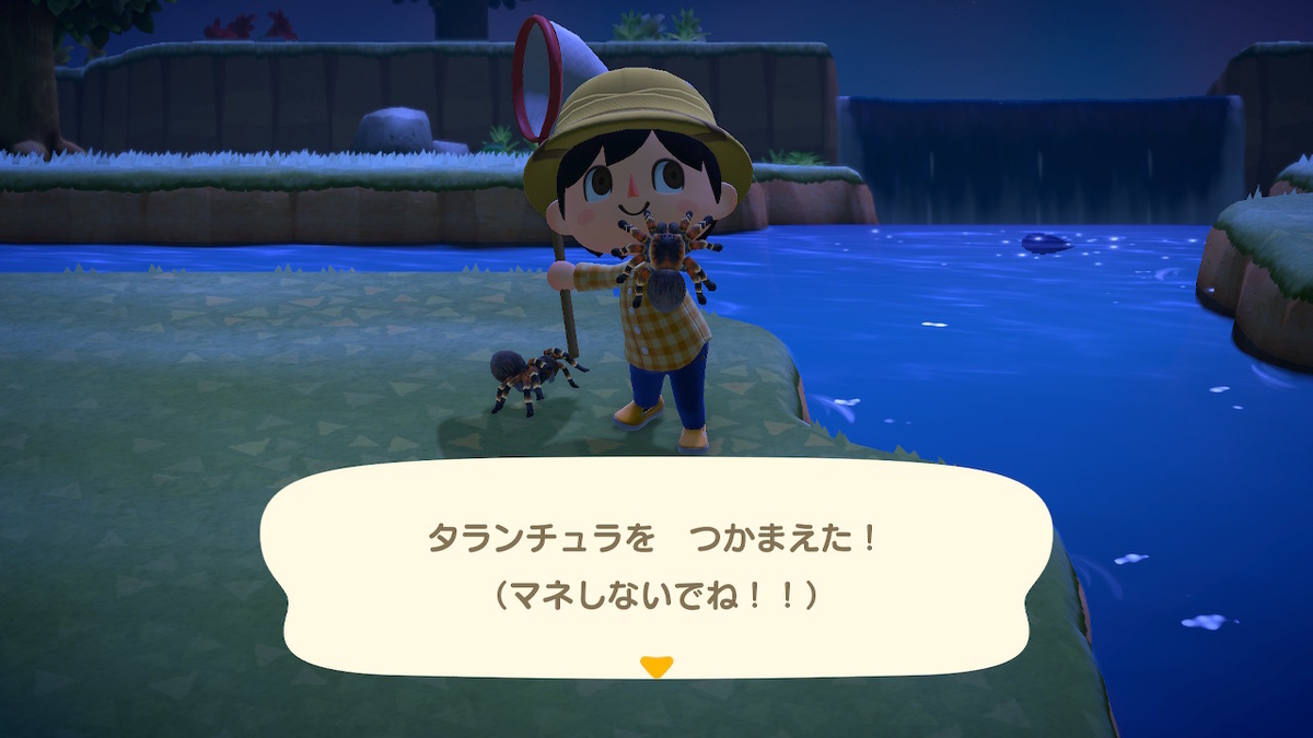 f:id:EIKU:20200321212839j:plain f:id:EIKU:20200321212839j:plain