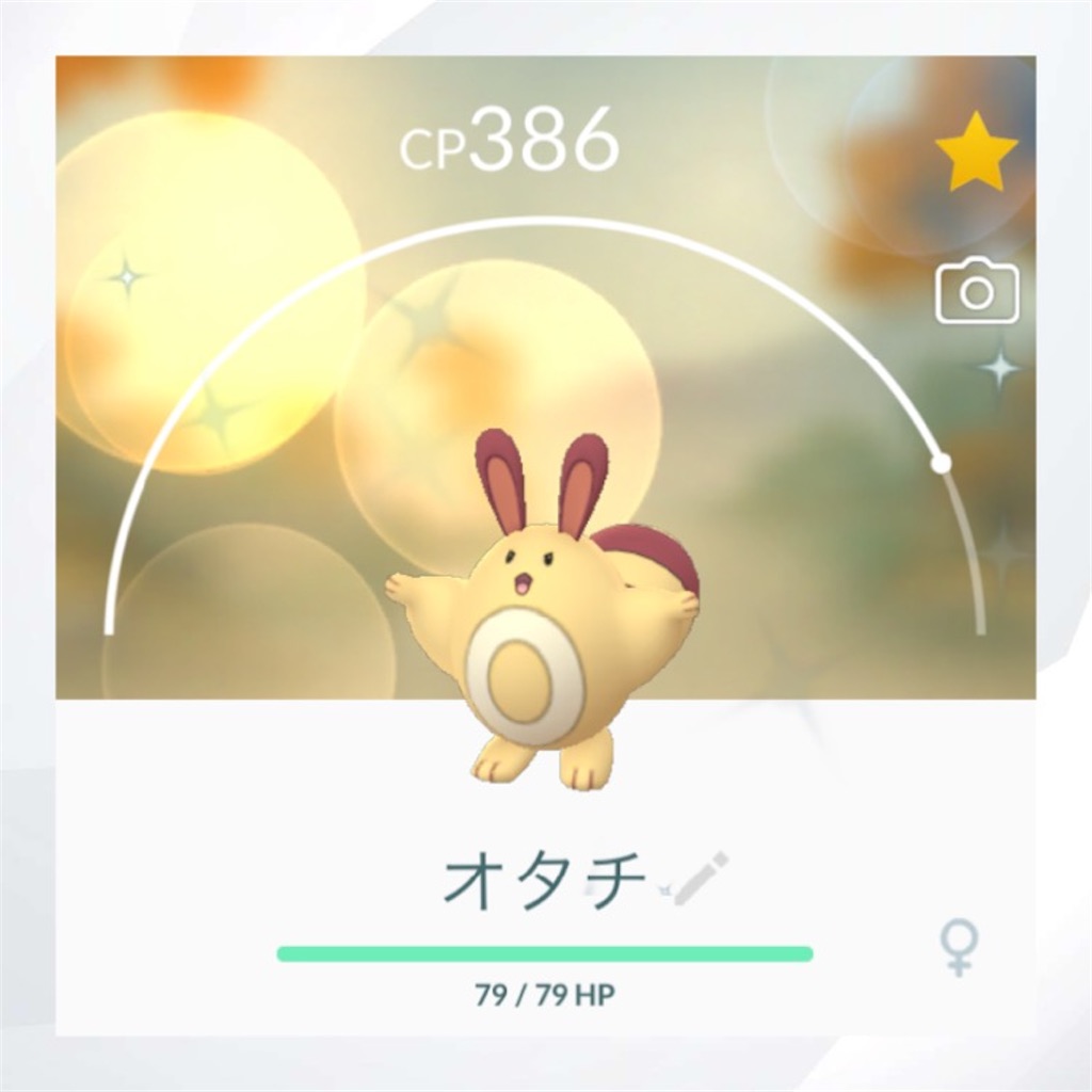 年12月にゲットした色違いポケモンまとめ えいくの日記