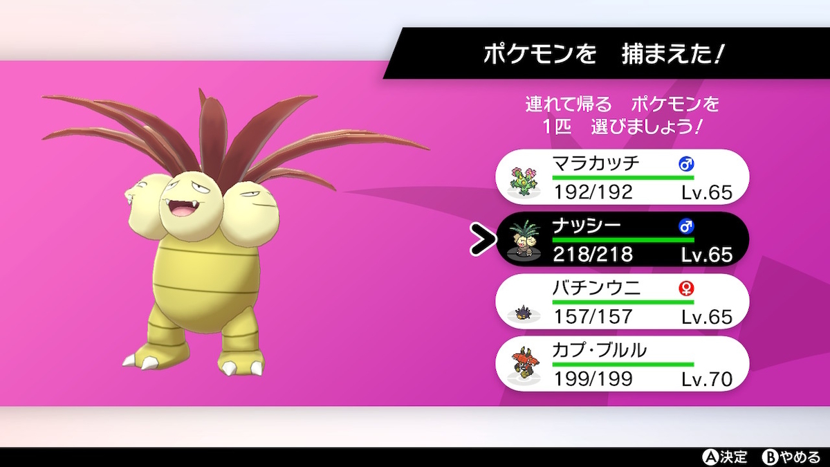 剣盾 ダイマックスアドベンチャーでは初の色違いポケモンをゲットだぜ えいくの日記 剣盾 ダイマックスアドベンチャーでは初の色違いポケモンをゲットだぜ えいくの日記