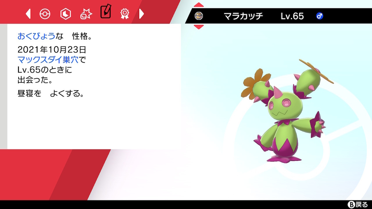 剣盾 ダイマックスアドベンチャーでは初の色違いポケモンをゲットだぜ えいくの日記 剣盾 ダイマックスアドベンチャーでは初の色違いポケモンをゲットだぜ えいくの日記