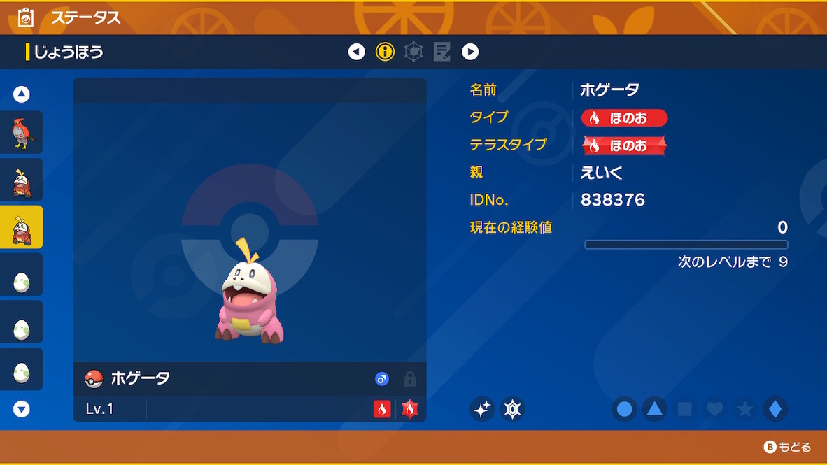 Sv 国際孵化で色違いのホゲータをゲットだぜ えいくの日記