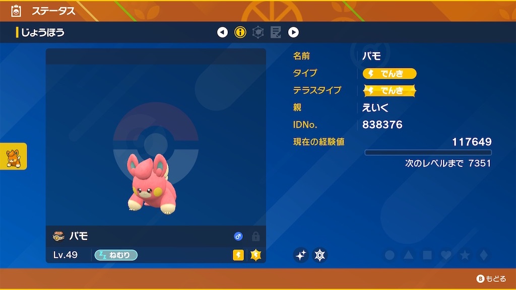 ポケモン ゴージャスボール 1000 ゴージャスボール pt DP
