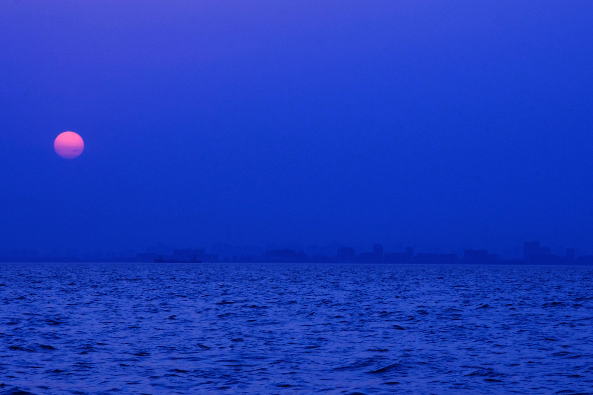 f:id:ELEPHANTPHOTO:20200406220606j:plain f:id:ELEPHANTPHOTO:20200406220606j:plain