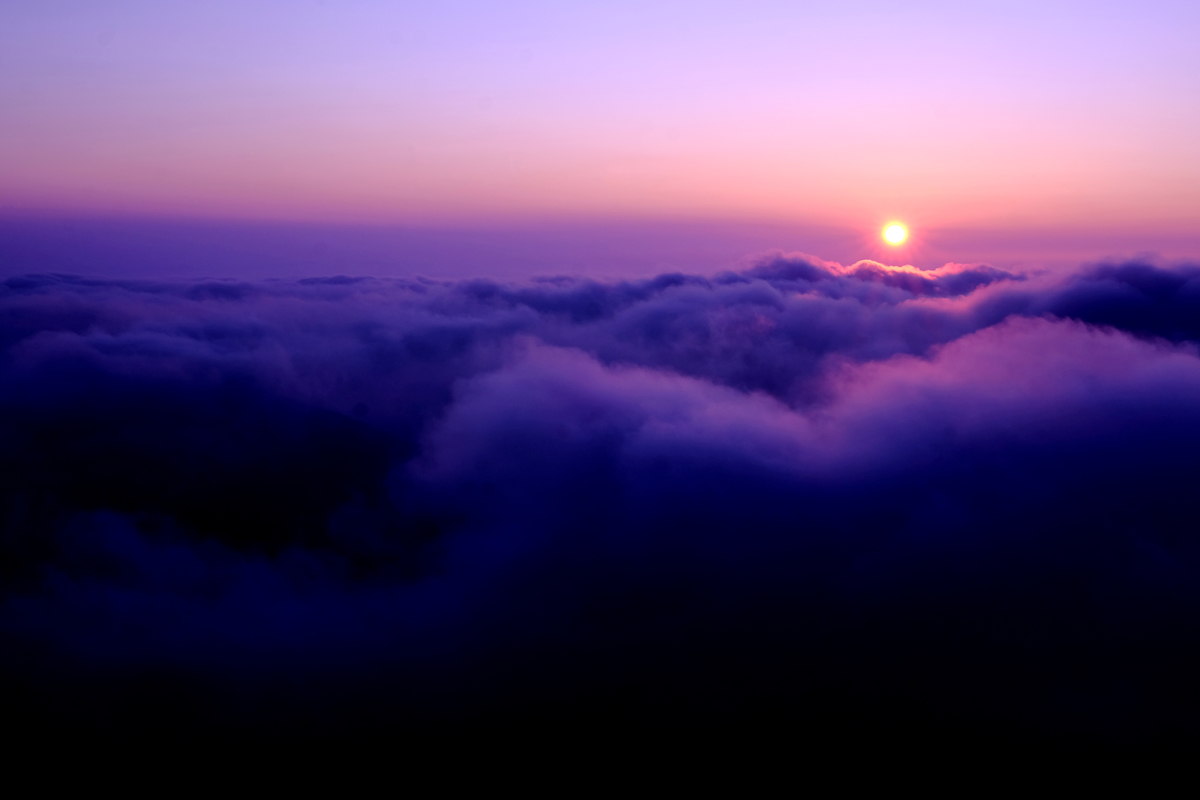 f:id:ELEPHANTPHOTO:20200419232944j:plain f:id:ELEPHANTPHOTO:20200419232944j:plain