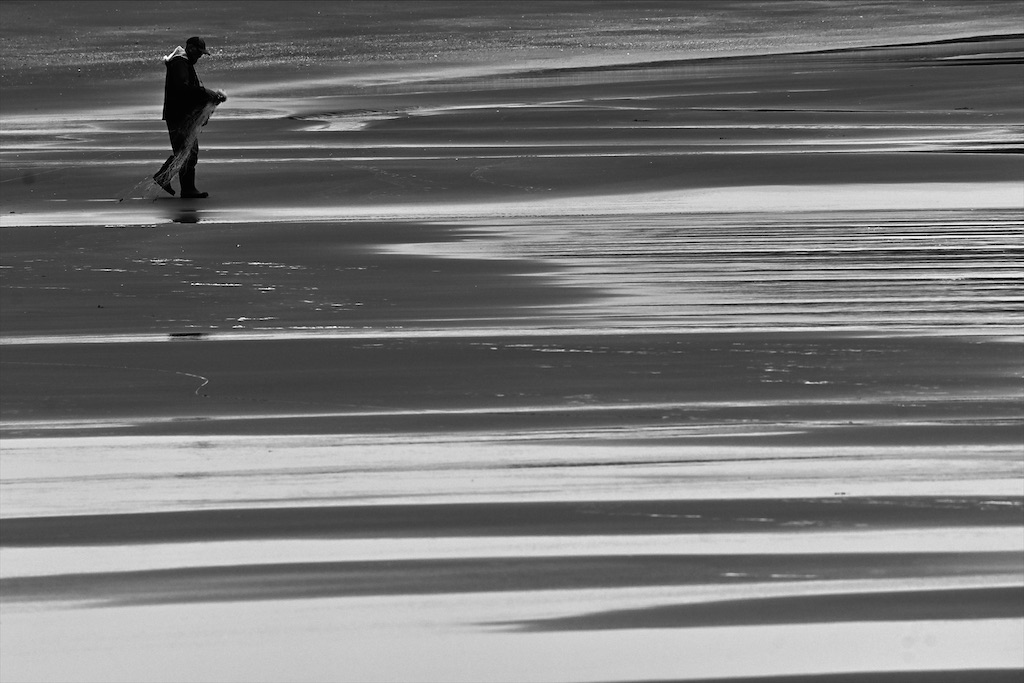 f:id:ELEPHANTPHOTO:20200629230747j:image f:id:ELEPHANTPHOTO:20200629230747j:image