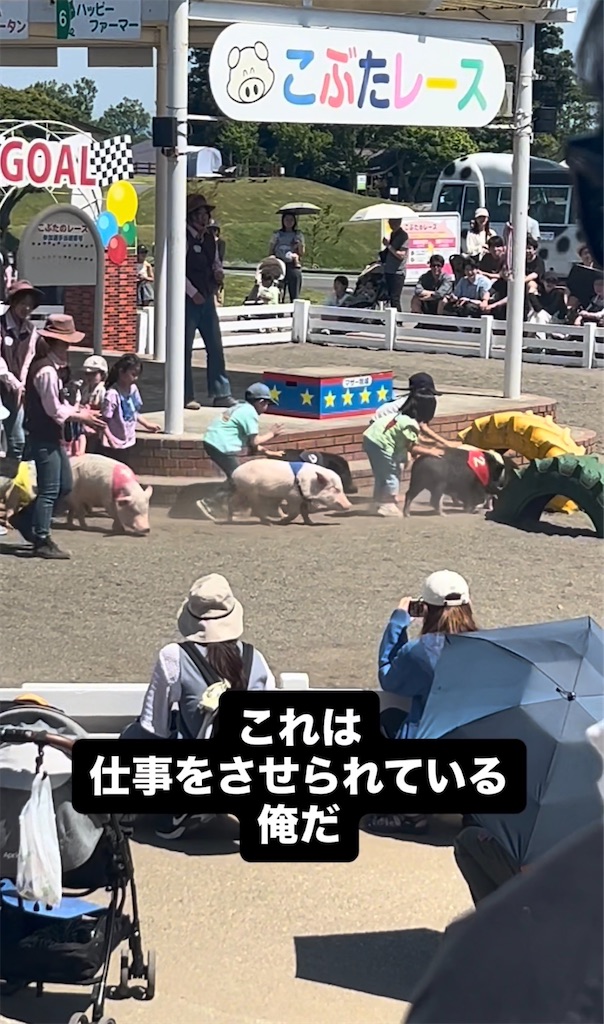 f:id:ELT_ogipei:20260523022434j:image
