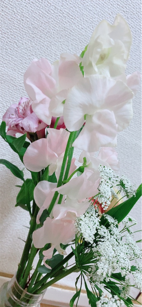 f:id:EMILYineurope:20220303002018j:image