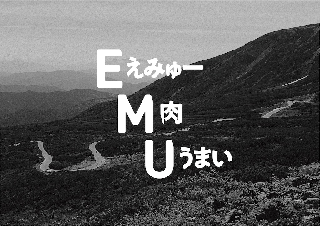f:id:EMUSpeedClub:20200110031758j:image