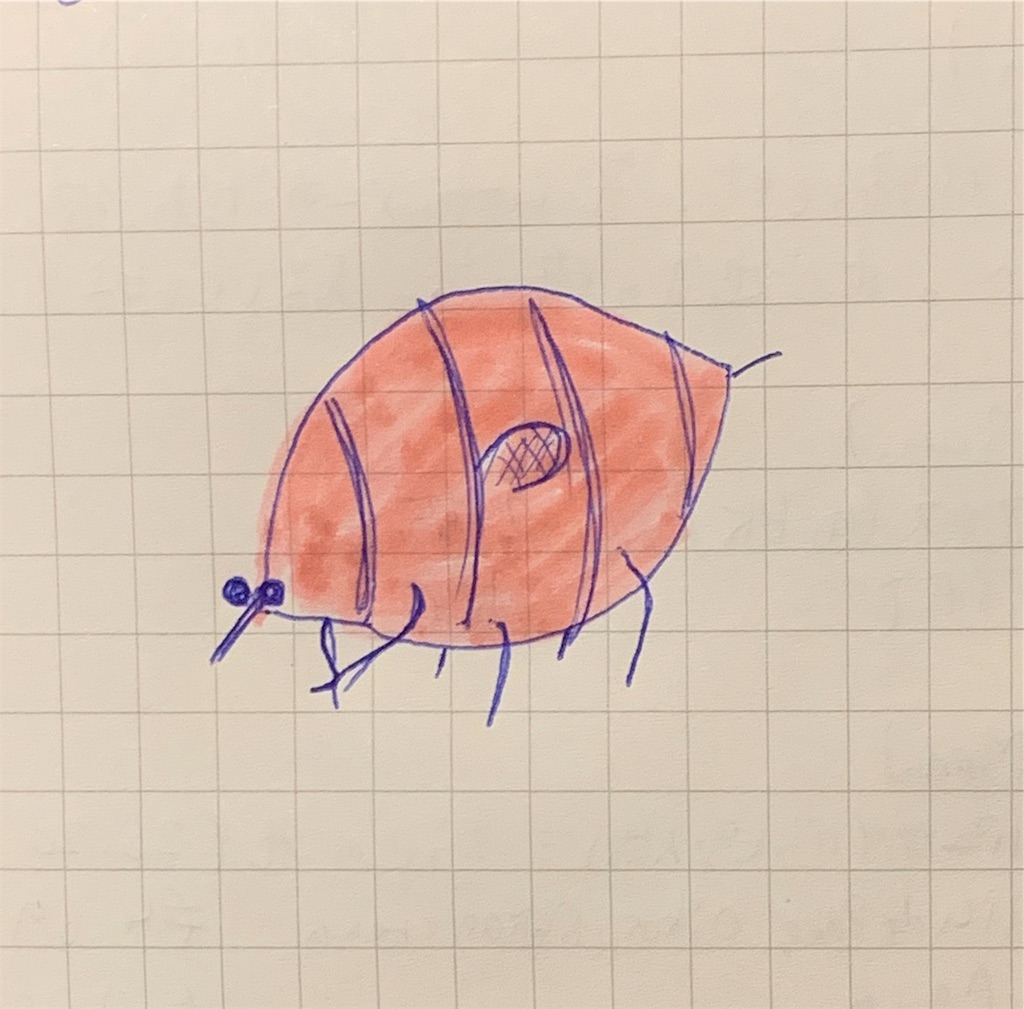 f:id:ENAcle:20191006065344j:plain