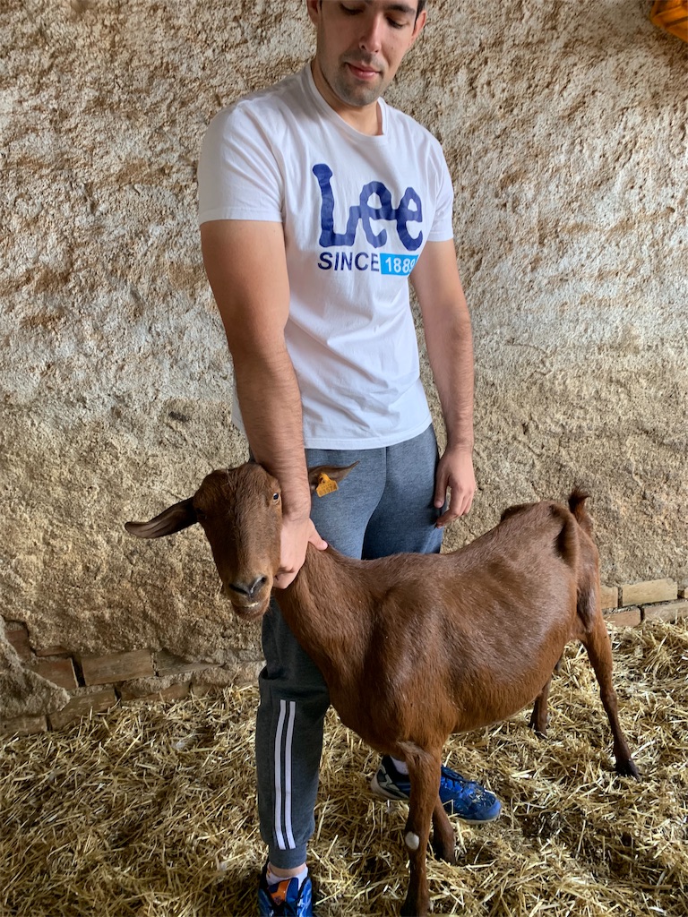f:id:ENAcle:20191013165225j:image