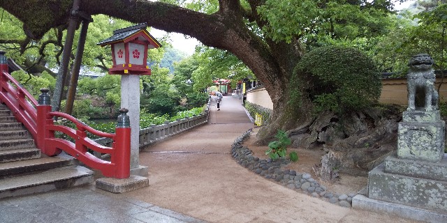 f:id:ENDLESStraveler:20190613143912j:image