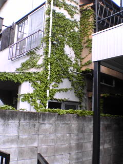 20060420092226