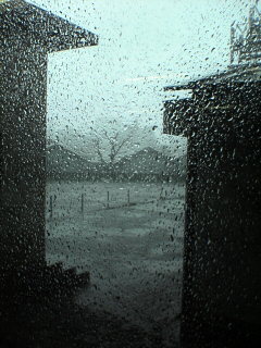 20060420123200