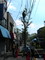 20060421094300