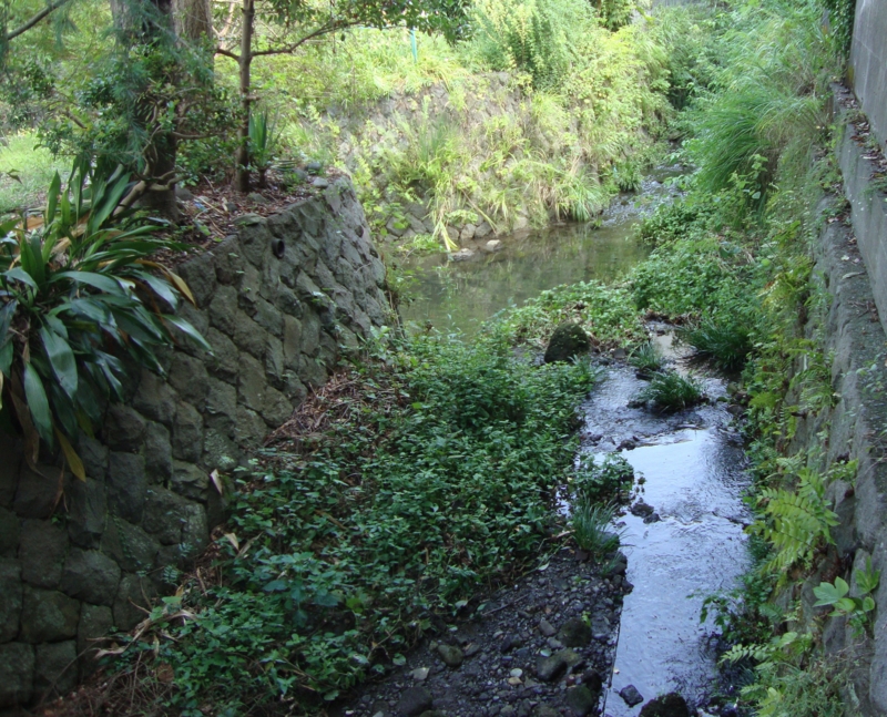 f:id:EPOM:20120909051844j:image:w640