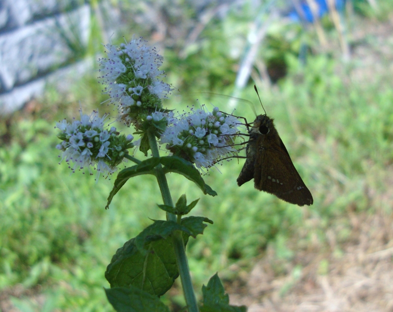 f:id:EPOM:20120909052006j:image:w640