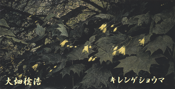 f:id:EPOM:20130305042016p:image