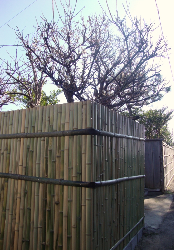 f:id:EPOM:20130307033659j:image