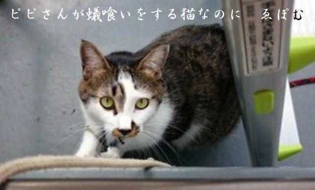 f:id:EPOM:20141027040116j:image