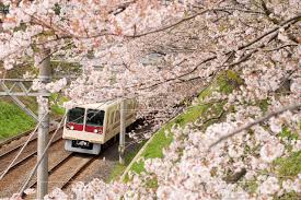 f:id:EPoch:20170330201049j:plain