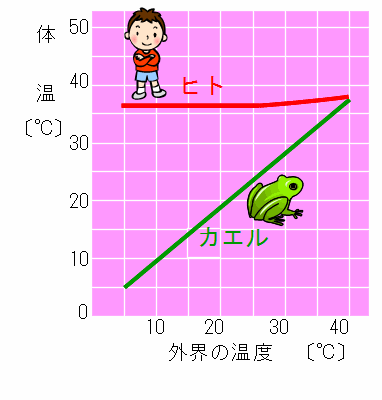 f:id:EPoch:20171006142049g:plain