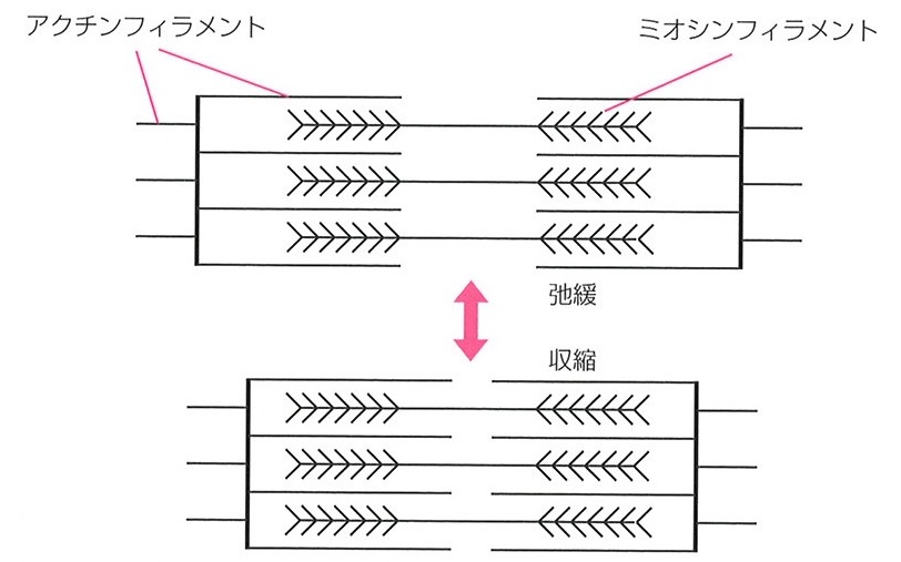 f:id:EPoch:20180711140118j:plain