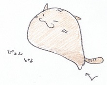 photo:02