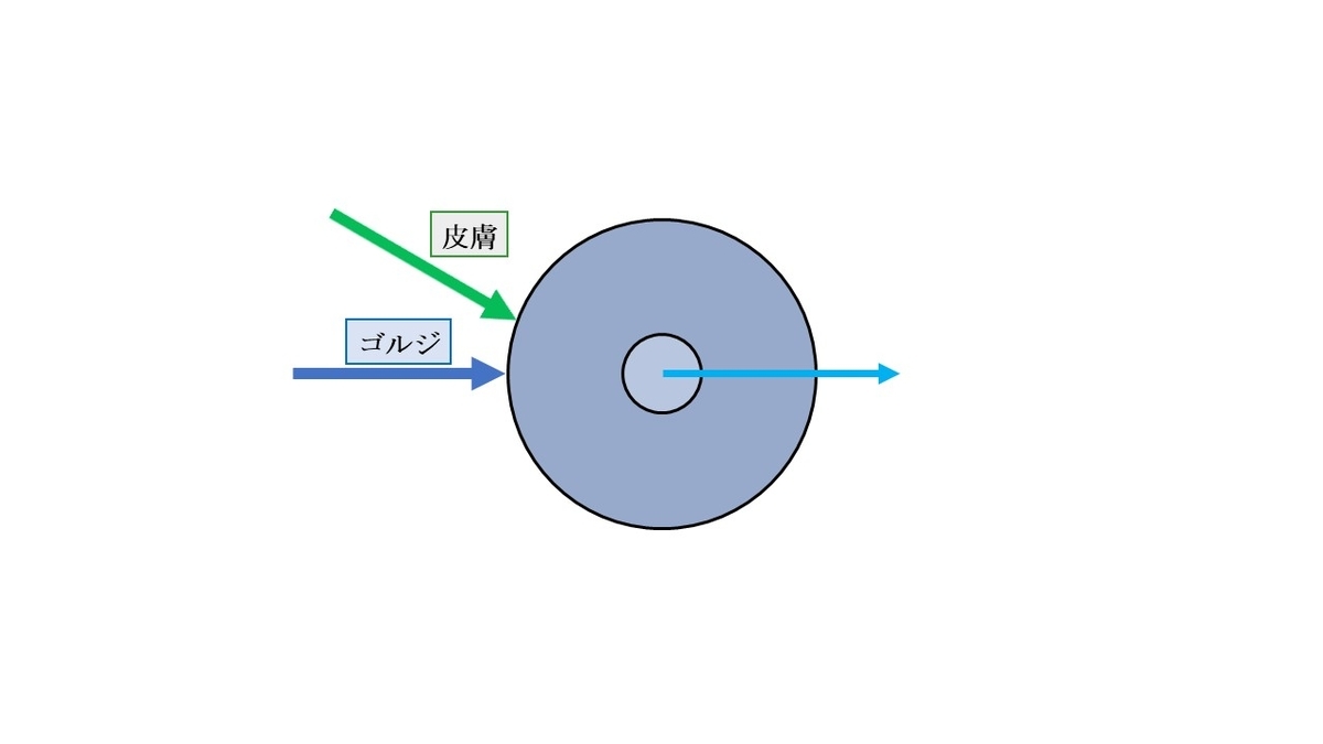 f:id:EPoch:20190607200156j:plain