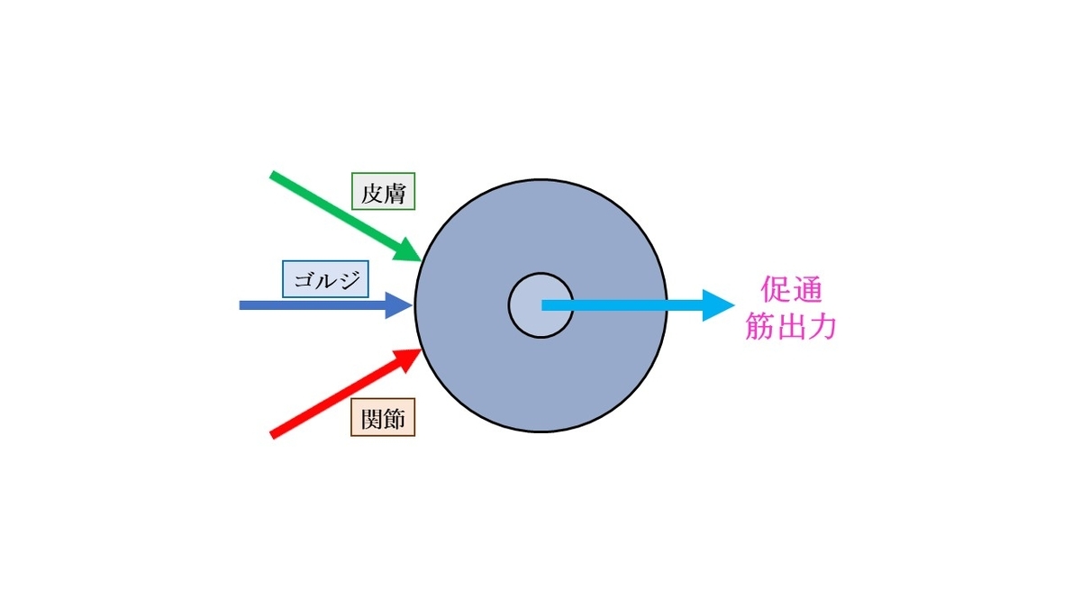 f:id:EPoch:20190607200205j:plain