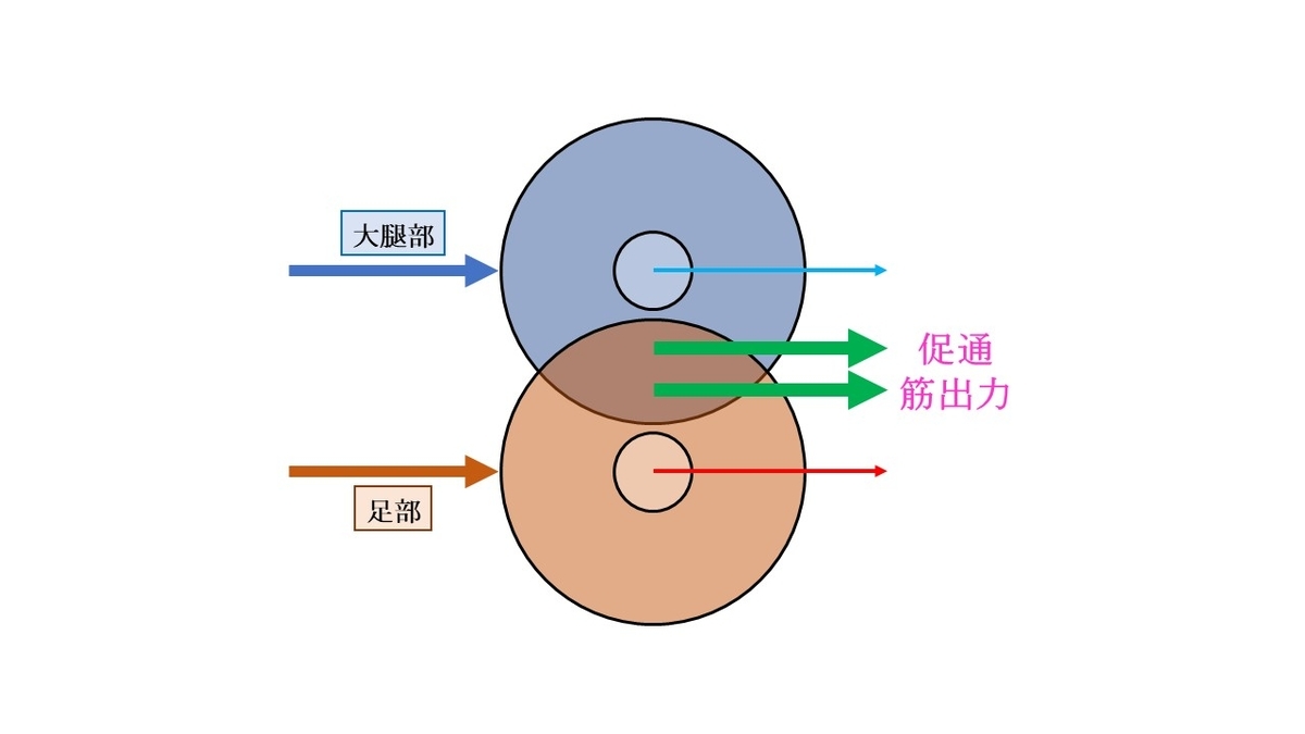 f:id:EPoch:20190607200233j:plain