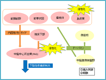 f:id:EPoch:20190812074253p:plain
