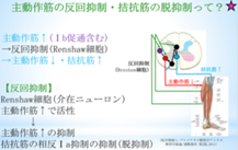f:id:EPoch:20200313194629p:plain