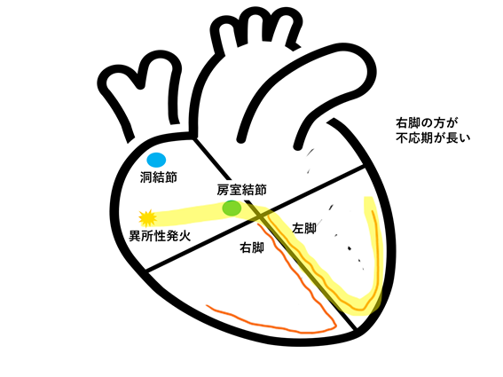 f:id:EPoch:20210216073316p:plain