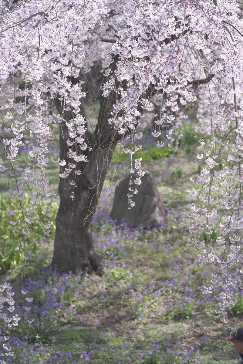 f:id:ERI-I:20200506222905j:plain